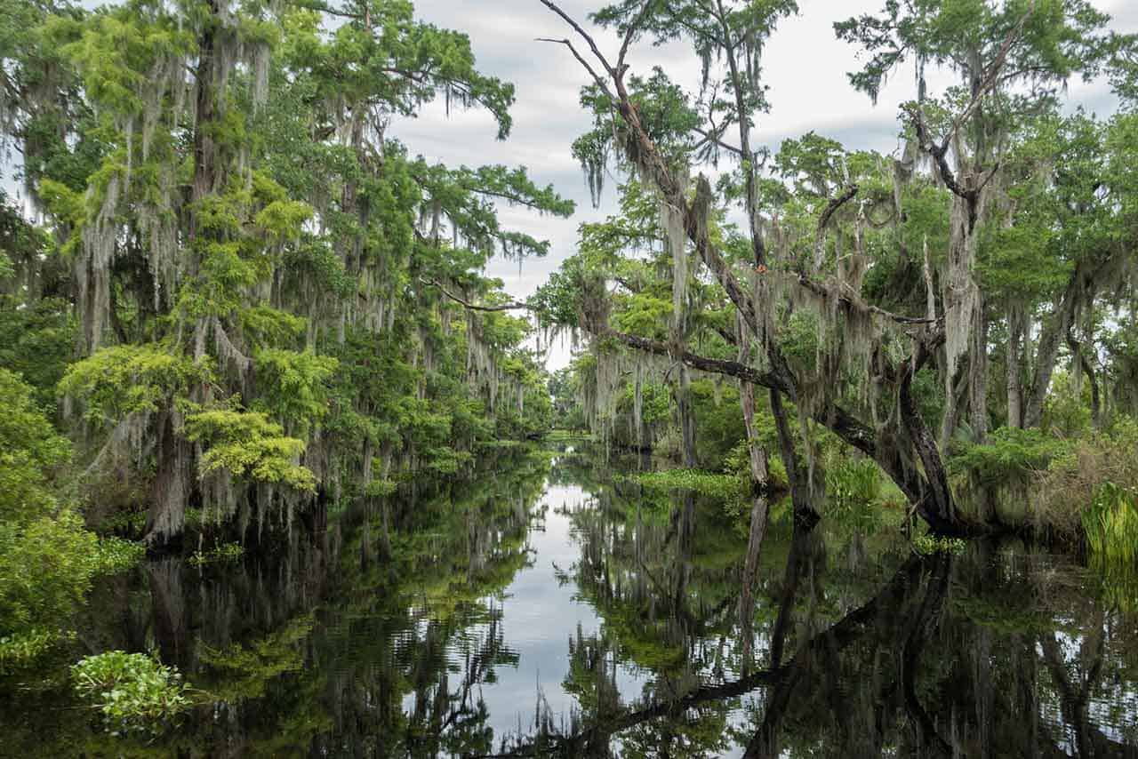 Halloween in New Orleans is a magical, otherworldly experience ...