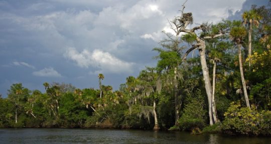 The Complete Guide to Free Camping in Florida’s Water Management Districts