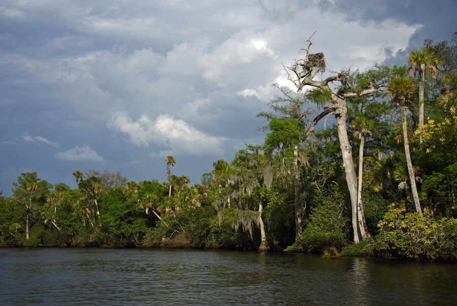 The Complete Guide to Free Camping in Florida’s Water Management Districts