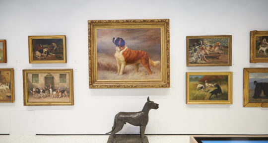 The new Museum of the Dog in New York City promises a tail-wagging good time