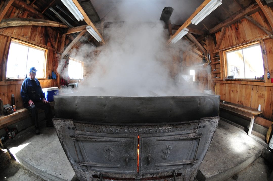Boiling maple sap into syrup.