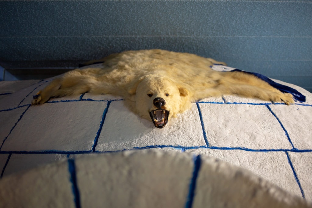 The polar bear skin rug sits atop the concrete igloo
