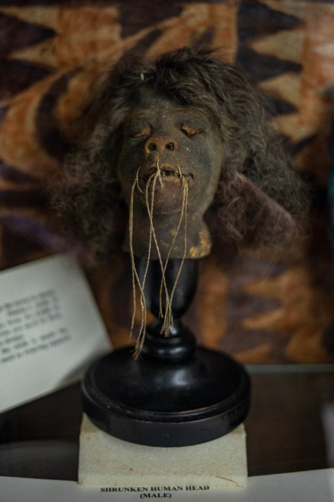 a shrunken head on display in a museum