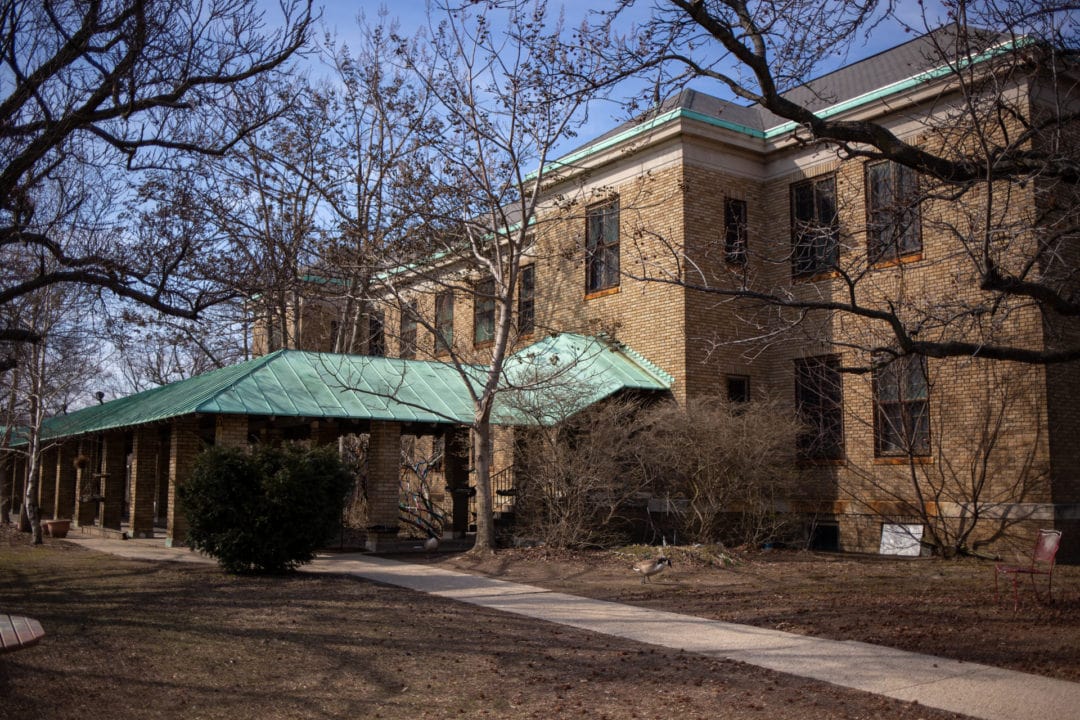 For some of the most interesting art in NYC, visit the Living Museum at