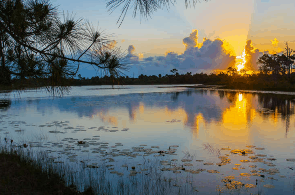 Grottos, manatees, and top-secret history on the Treasure Coast ...