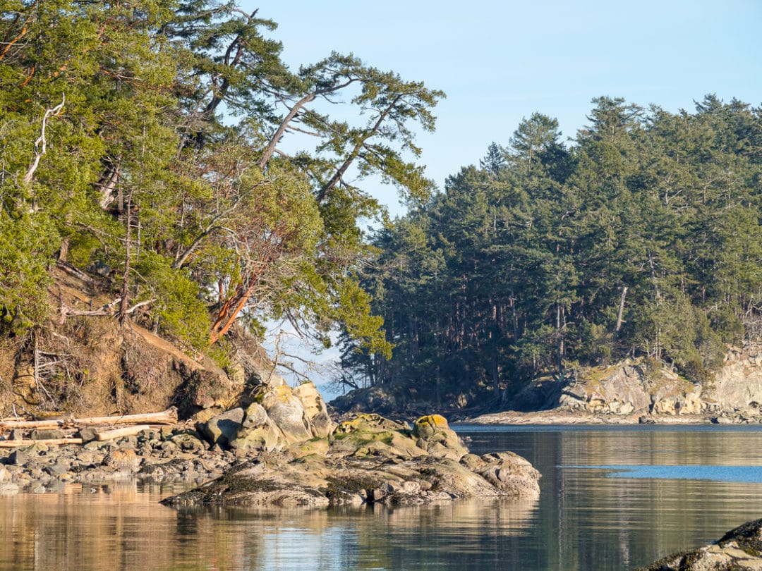 The green and rocky islands have a mild climate and a unique ecosystem that’s different than the rest of Canada. 