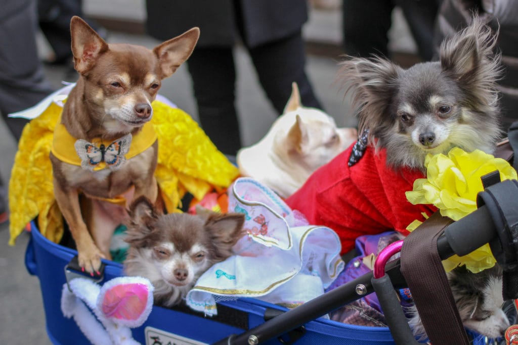 Easter bonnets along Fifth Avenue