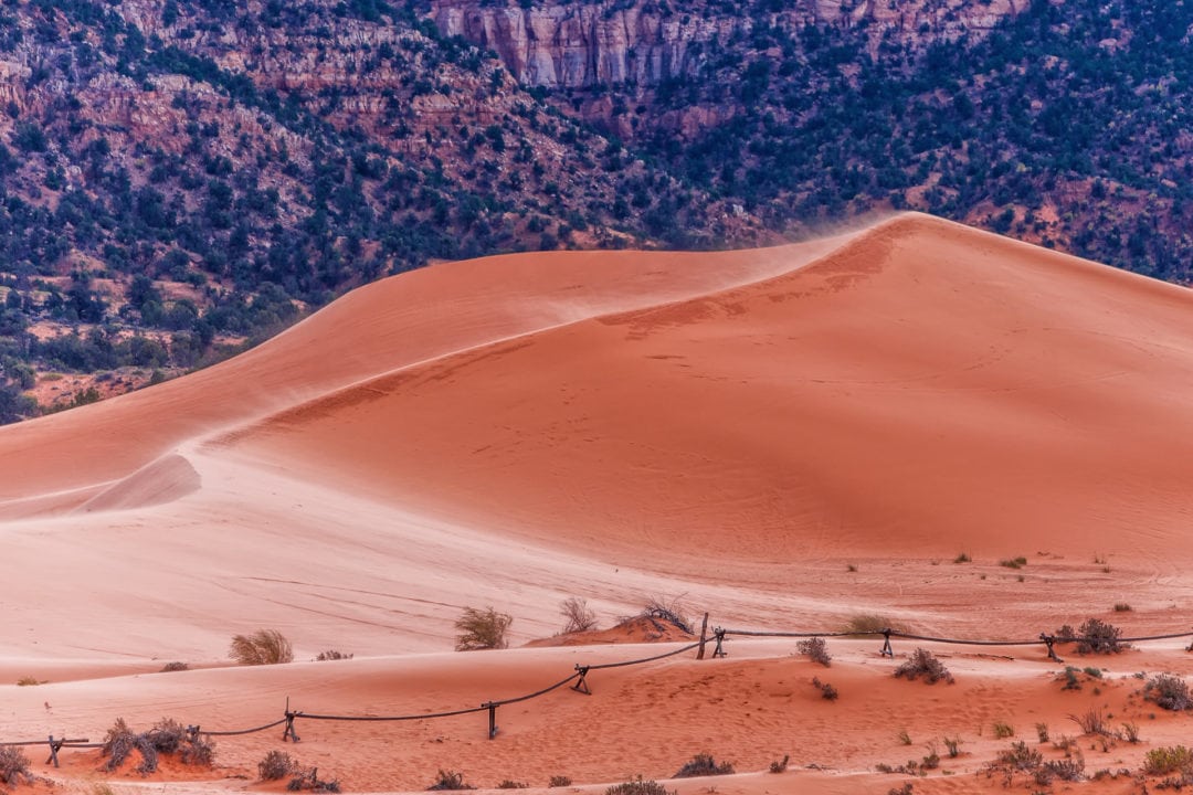 Coral Pink Sand Dunes State Park in southern Utah. 
