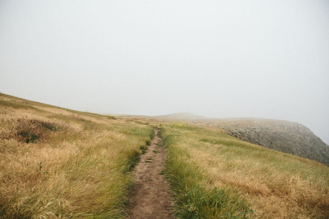 A nature trail disappears into the fog
