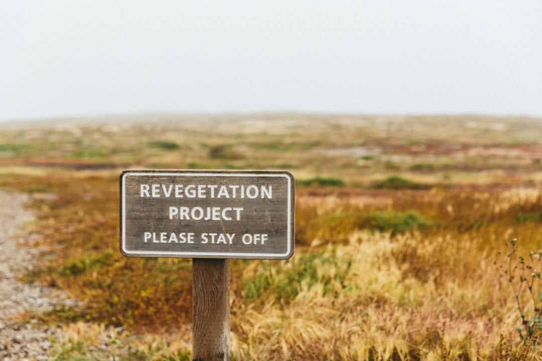 A sign that reads "Revegetation Project, Please stay off"