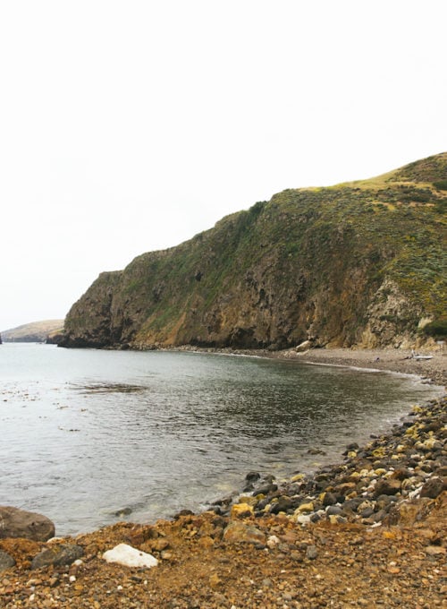 The islands of Channel Islands National Park have maintained their pristine beauty, mostly untouched by tourists