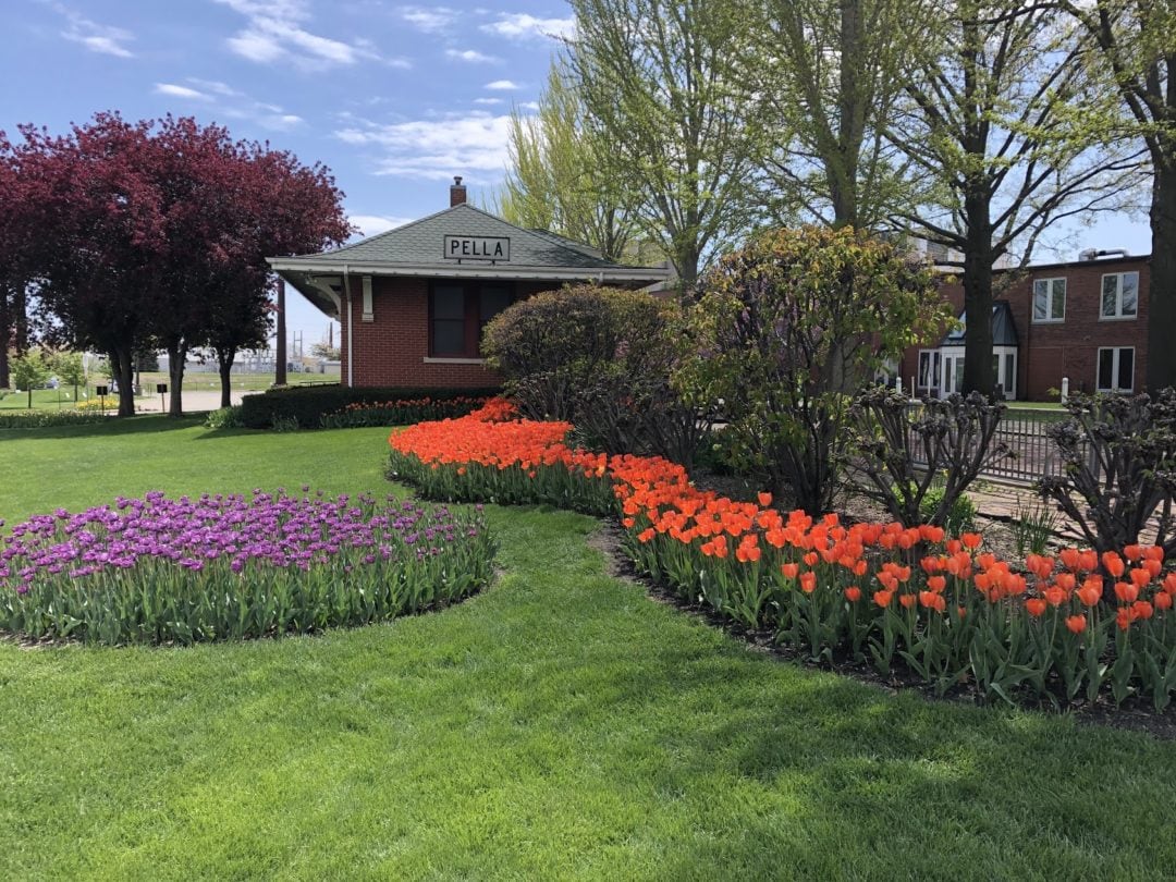 Pella is known for its Tulip Time festival. 