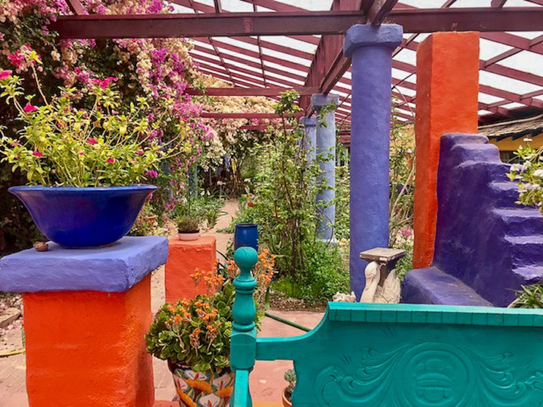 Green plants scattered about a garden with walls painted orange, purple, pink, and turquoise. 
