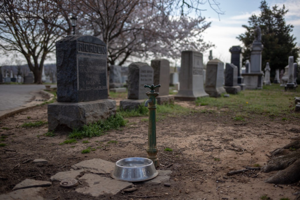 water bowl in cemetery