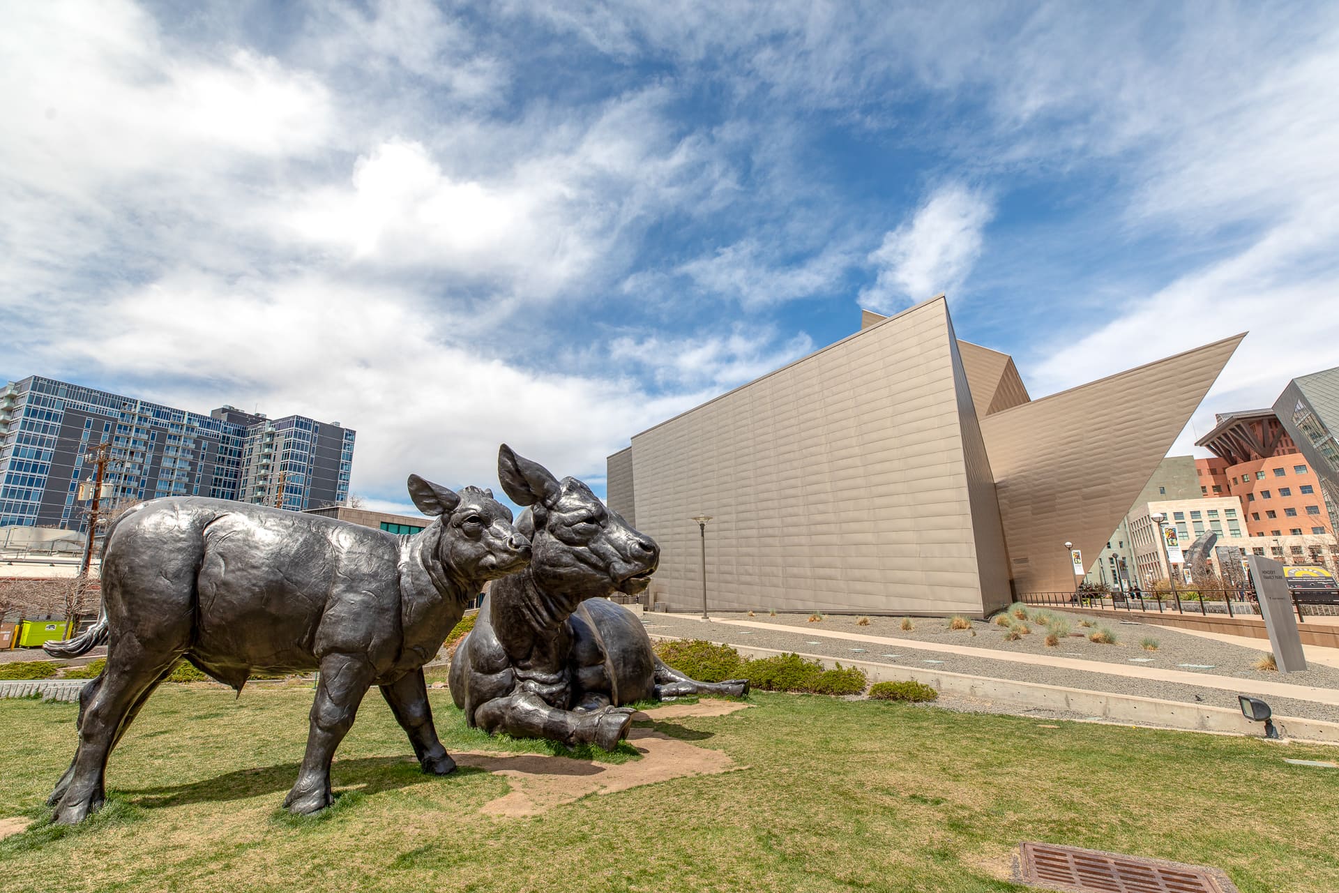 Denver Golden Triangle Art Museum Bulls 