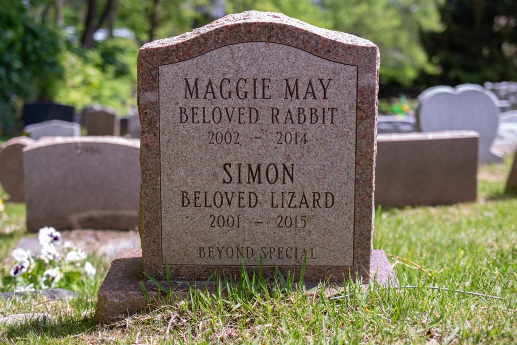 headstone for a rabbit and lizard