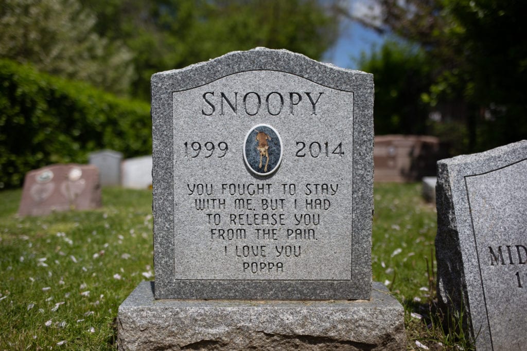 tombstone for snoopy
