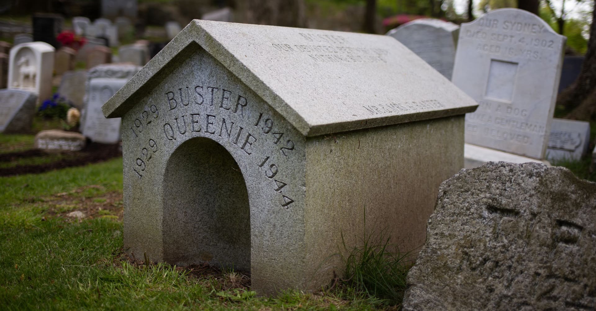 At America’s first pet cemetery, beloved animals—from lizards to lions