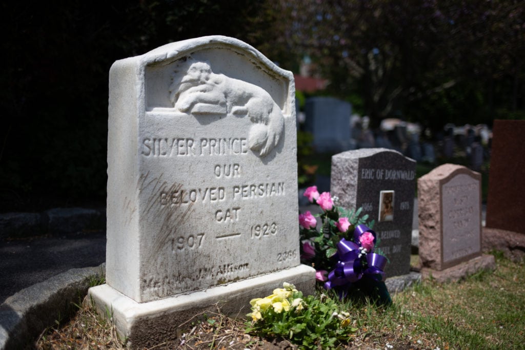 tombstone for a cat