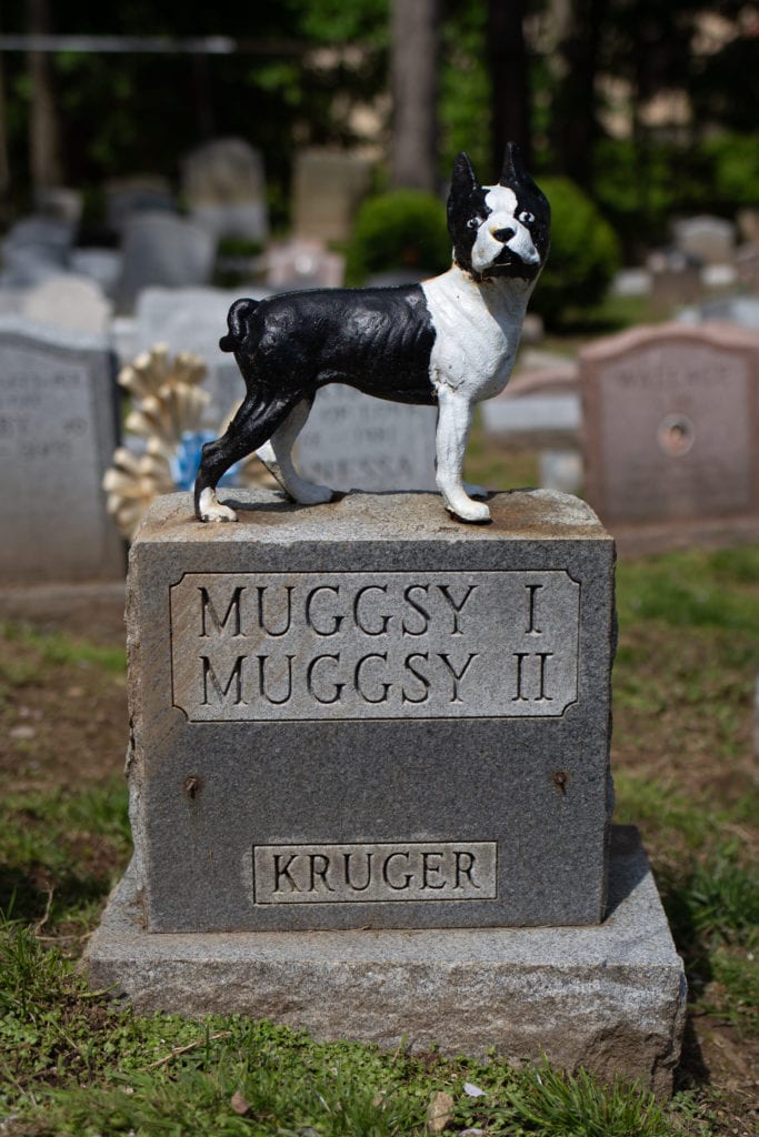 Headstone topped with a boston terrier