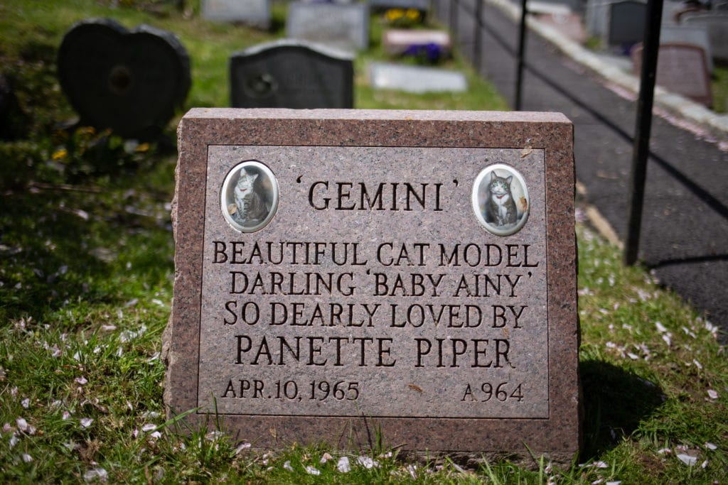 tombstone for a cat model