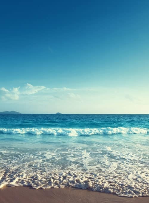 Karen Wellington's love for travel lives on in her children—and her namesake foundation