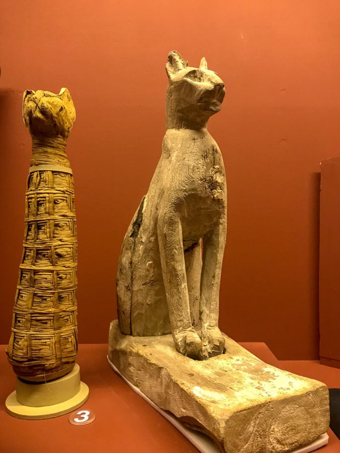 Ancient Egyptian artifacts on display at the museum.