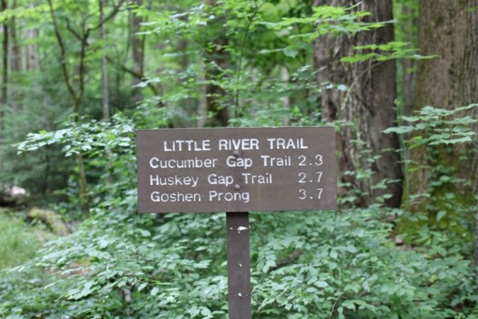 A sign for the Little River Trail.
