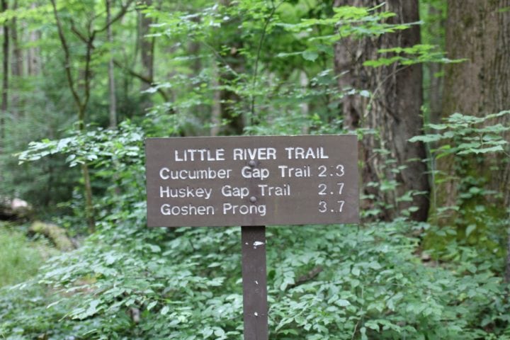 A look at Elkmont’s synchronous firefly show, the hottest ticket in the ...