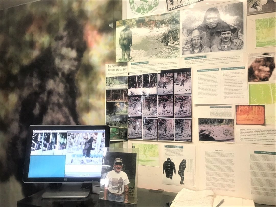 Photographs, articles, and graphs of Bigfoot serve as evidence for his existence