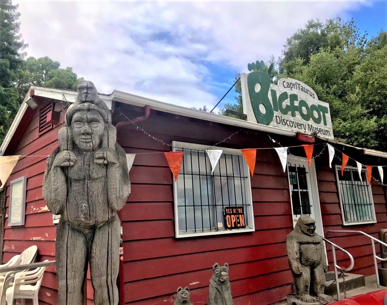 On the Hunt for Bigfoot at Sasquatch Festival, Culture