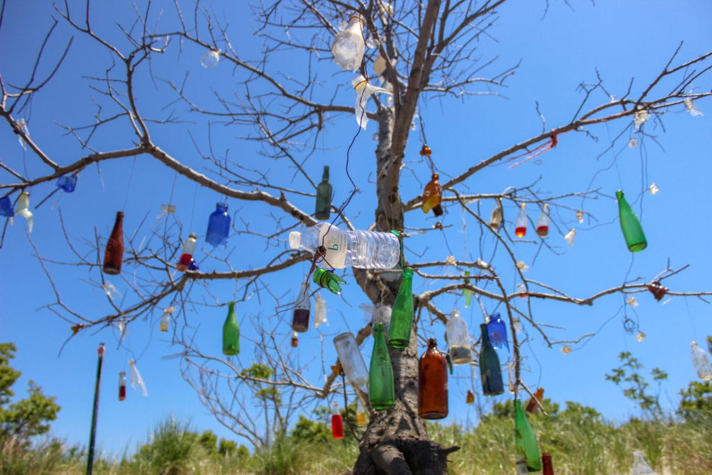 a tree with bottles