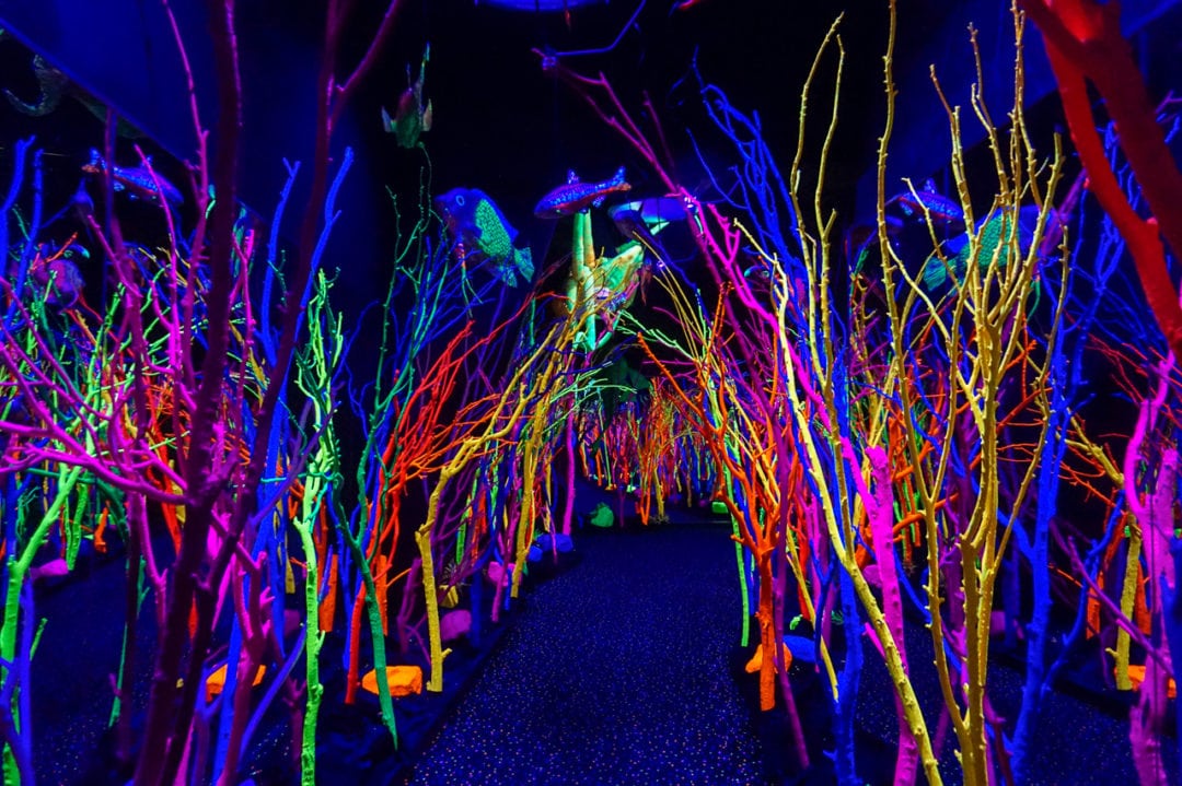 An underwater neon forest inside Meow Wolf.