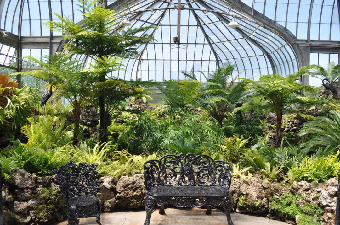 a bench and a chair sit in front of dozens of plants in a greenhouse