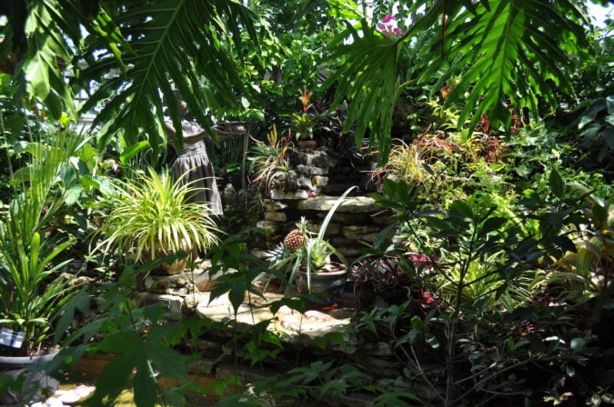 Visiting the reopened Belle Isle Conservatory, where wild flora meets ...