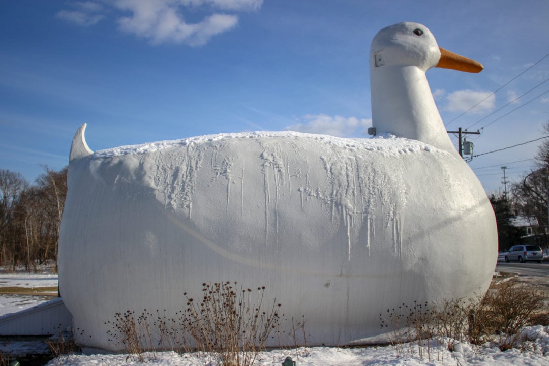 The Big Duck covered in snow in the winter