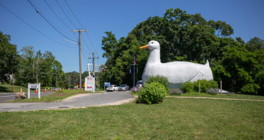 Big Duck Energy: Discovering dinosaur eggs, satanic panic, and fowl facts at a Long Island landmark