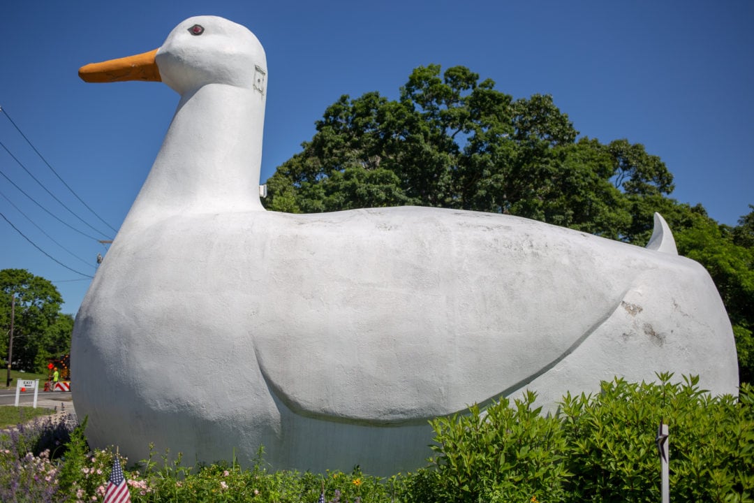 a big white-duck-shaped building with an orange beak