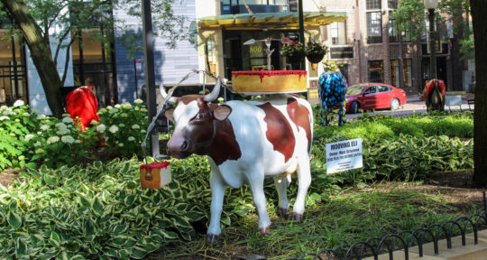 Holy cow: After 20 years on parade, Chicago’s cows are finally coming home