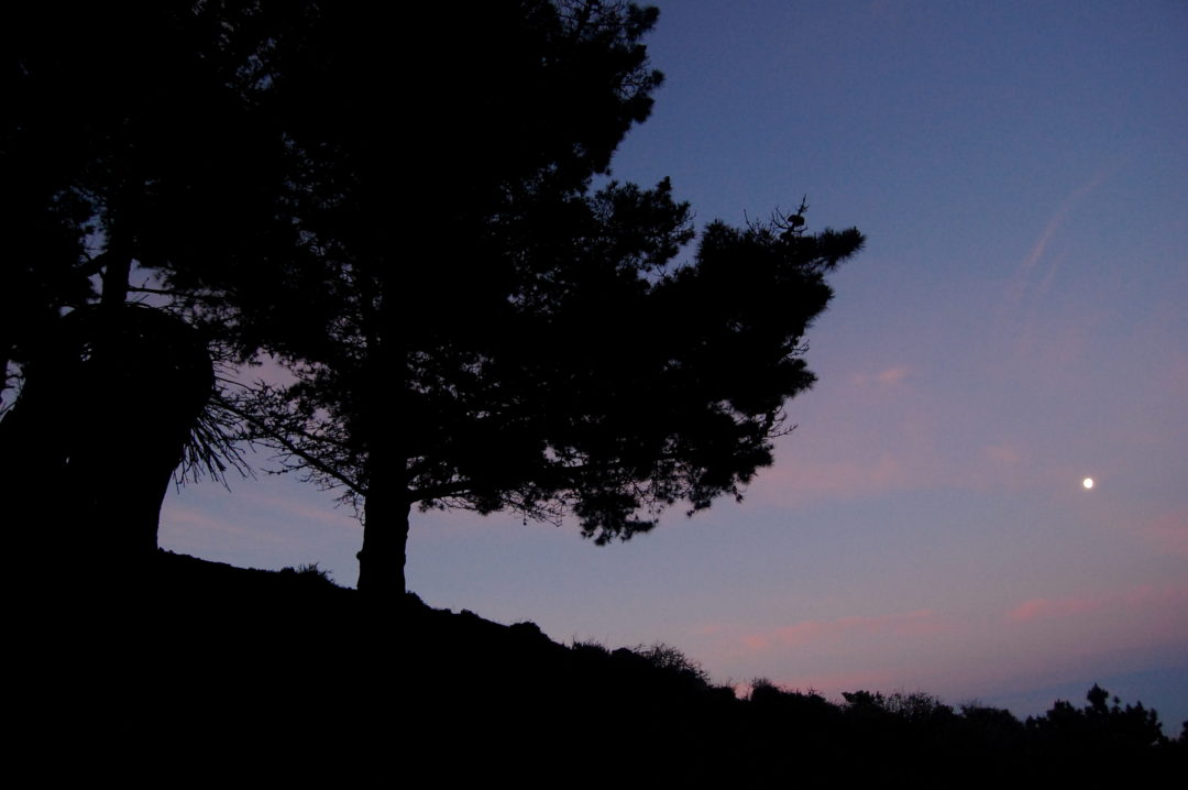 Big Sur Human Nest Treebones Resort sunset