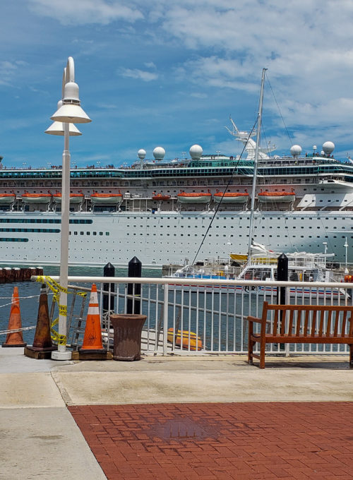 For fun only: How a special trip to Florida made a cancer survivor forget all about her diagnosis and ‘just be’