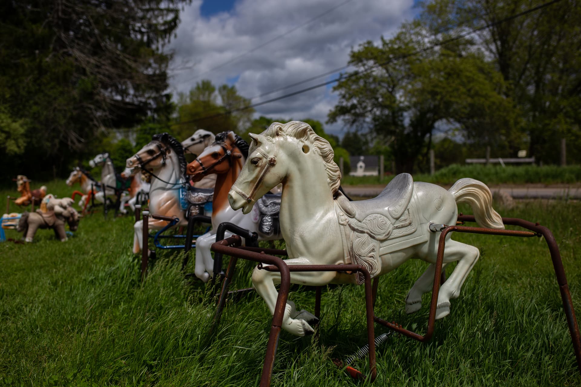  Born for Hobby Horse Forced to go to School Hobby