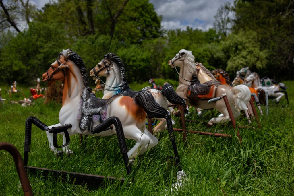 rocking horses in a field