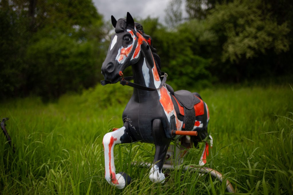rocking horses in a field