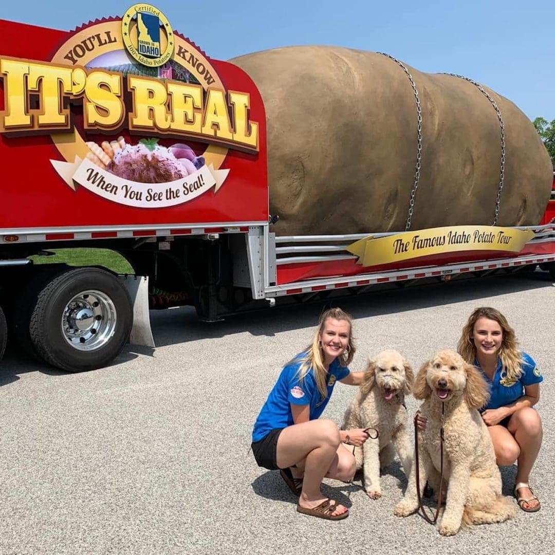 two blonde girls stand in front of the giant potato with dogs