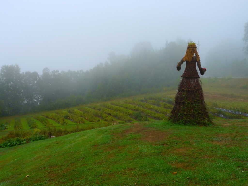 a statue of a woman watches over a field of plants