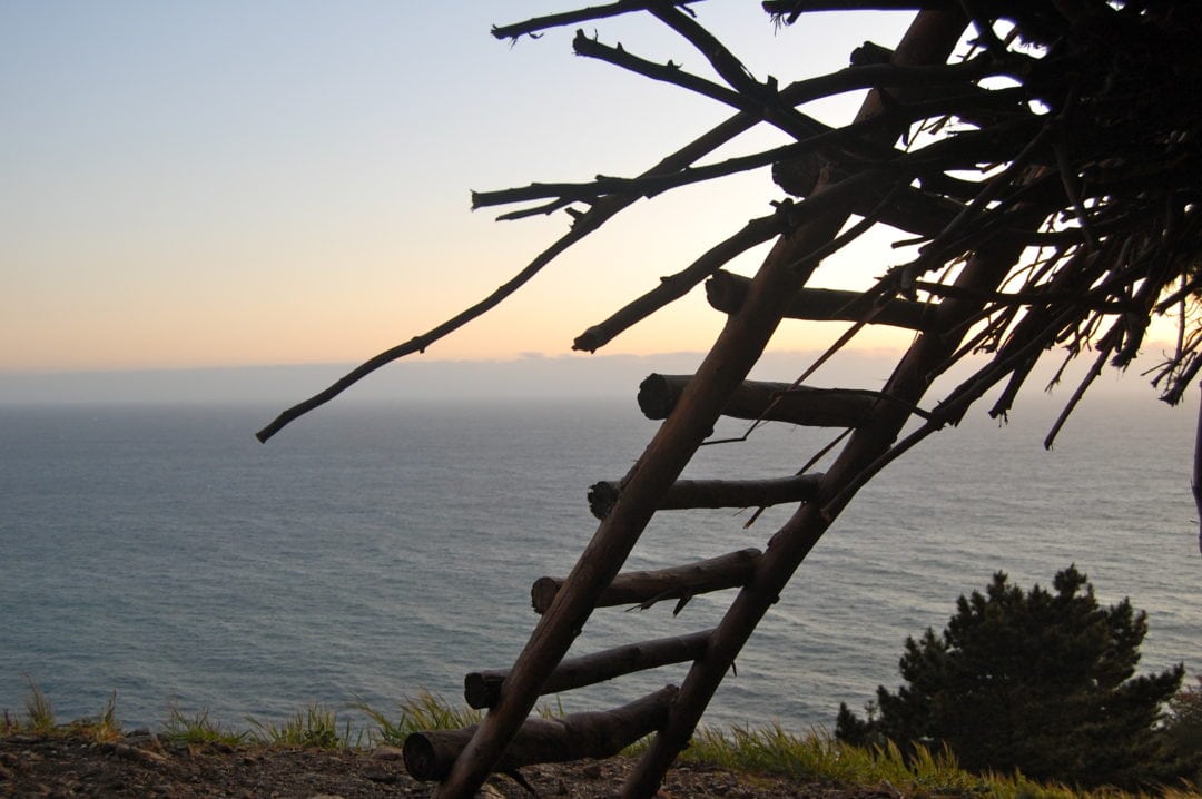 Big Sur Human Nest Treebones ocean view