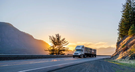 In pursuit of the equal pay and freedom of long-haul trucking, women are trading the office for the open road