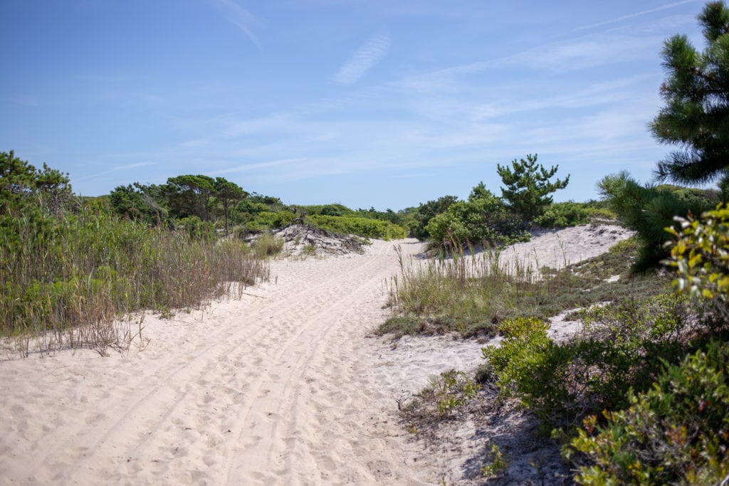 dunes