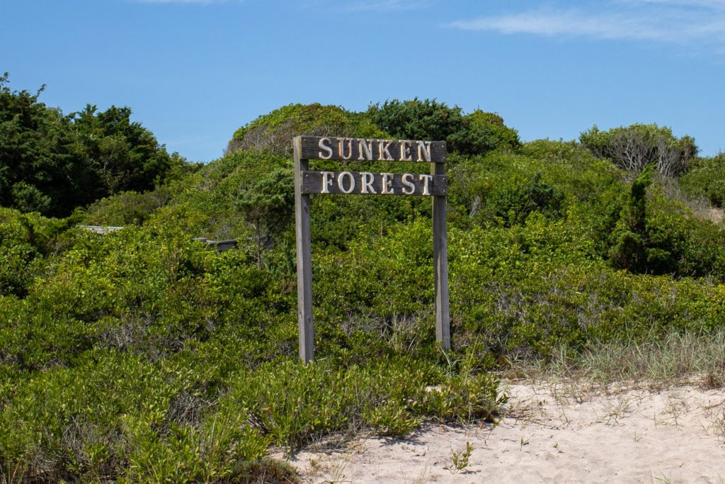 sunken forest sign